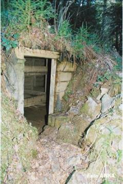 Partizanska bolnišnica v Drulkovem gozdu